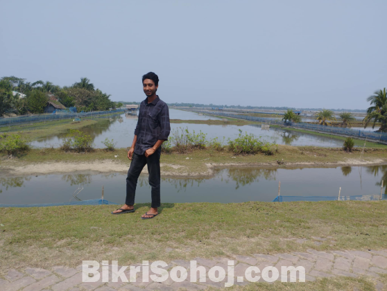 কৃষি জমি বিক্রয়
